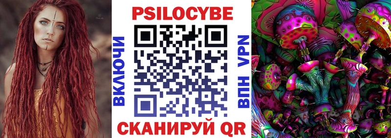 хочу наркоту  Щигры  Галлюциногенные грибы MAGIC MUSHROOMS 